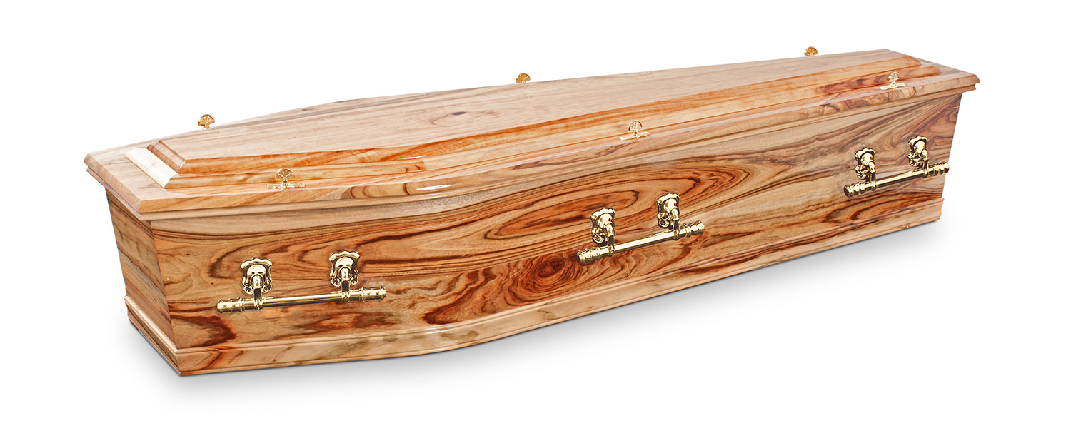 Camphor Laurel coffin